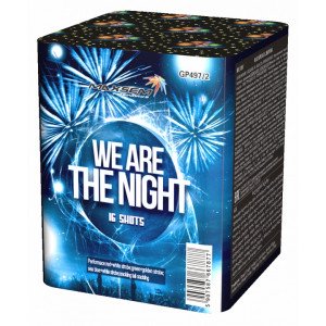 WE ARE THE NIGHT