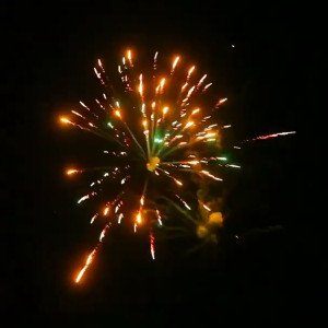 Фейерверк 25 залпов «Новый КОТ» Joker Fireworks JF C20-25/03