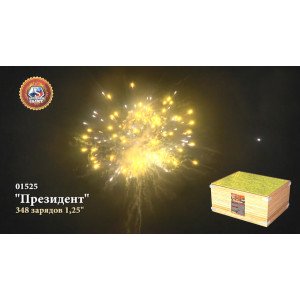 Эксклюзивный фейерверк 348 залпов «Президент» Премьер салют 01525